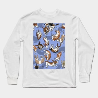 Raining Basset Hounds Long Sleeve T-Shirt